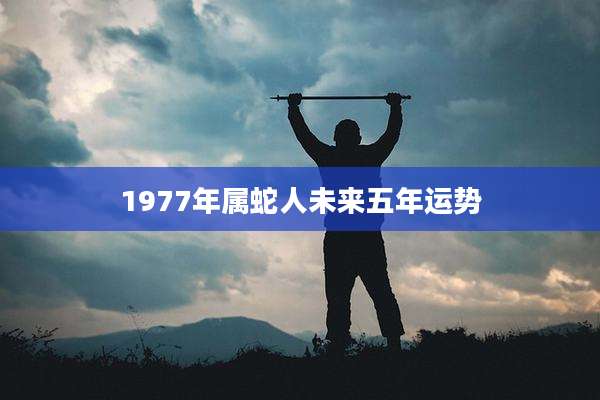 1977年属蛇人未来五年运势