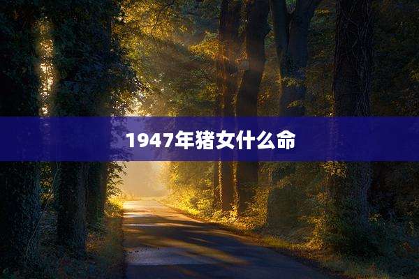 1947年猪女什么命