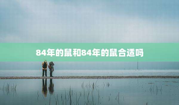 84年的鼠和84年的鼠合适吗