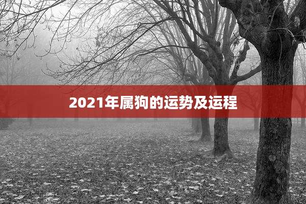 2021年属狗的运势及运程