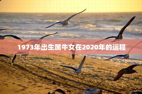 1973年出生属牛女在2020年的运程