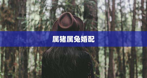 属猪属兔婚配
