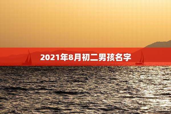 2021年8月初二男孩名字