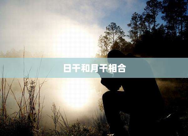 日干和月干相合