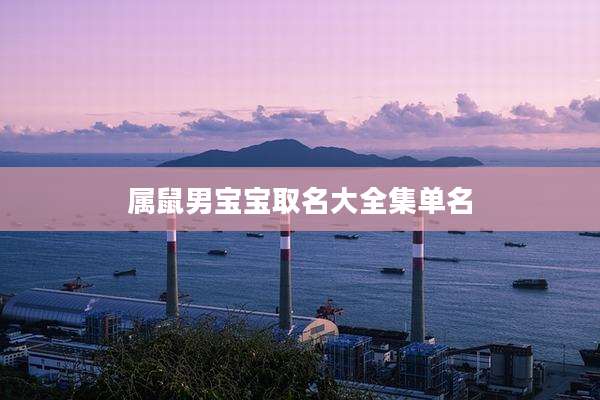 属鼠男宝宝取名大全集单名