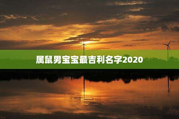 属鼠男宝宝最吉利名字2020