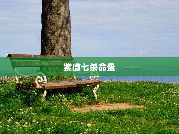 紫微七杀命盘