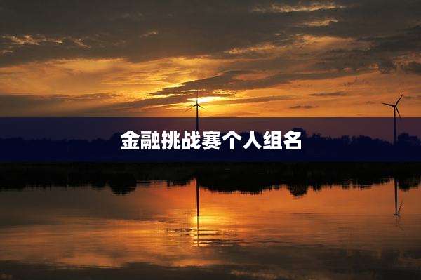 金融挑战赛个人组名
