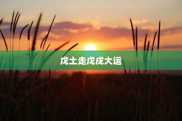 戊土走戊戌大运