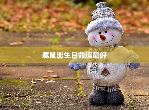 属鼠出生日命运最好