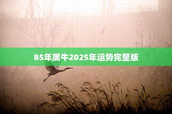 85年属牛2025年运势完整版