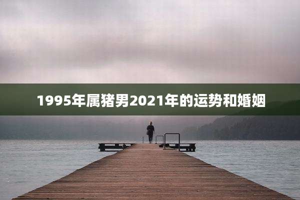 1995年属猪男2021年的运势和婚姻
