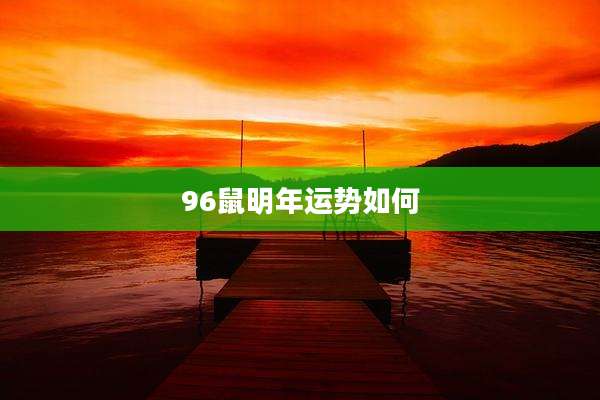 96鼠明年运势如何