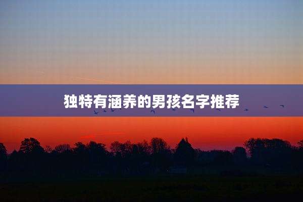 独特有涵养的男孩名字推荐