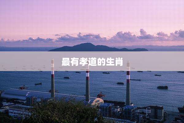 最有孝道的生肖