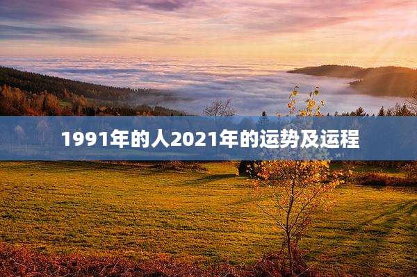1991年的人2021年的运势及运程