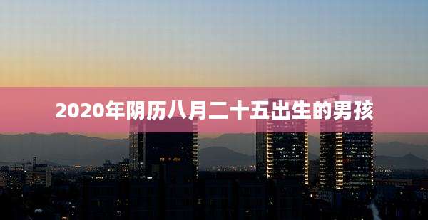 2020年阴历八月二十五出生的男孩