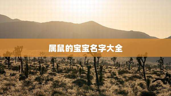 属鼠的宝宝名字大全