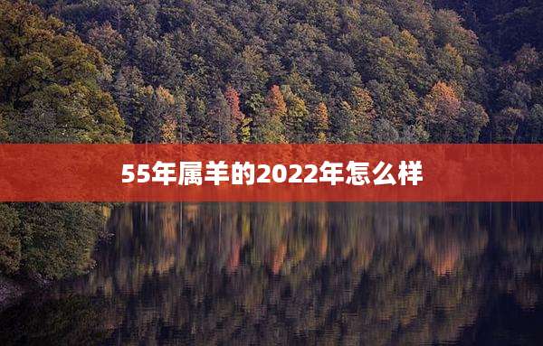 55年属羊的2022年怎么样
