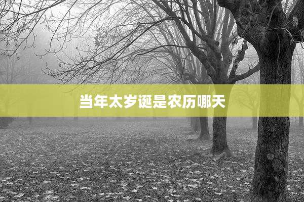 当年太岁诞是农历哪天