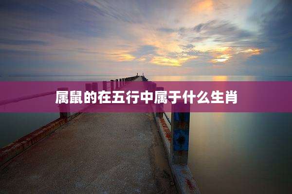 属鼠的在五行中属于什么生肖