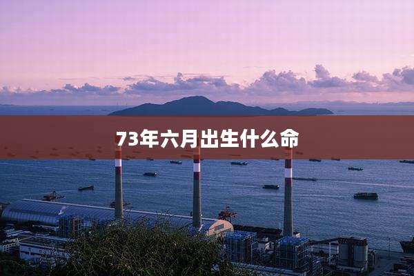 73年六月出生什么命