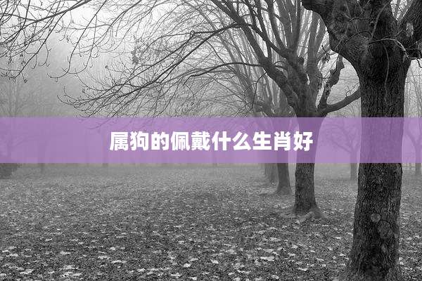属狗的佩戴什么生肖好
