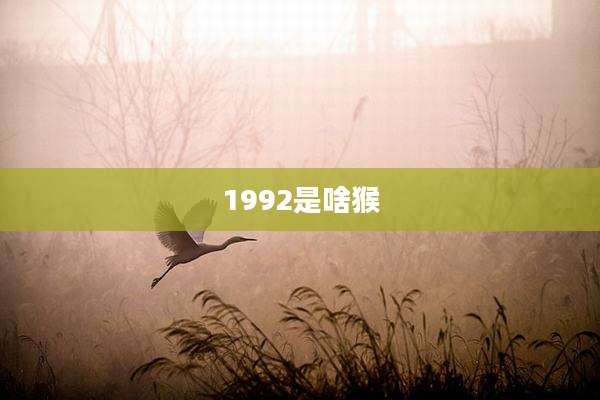 1992是啥猴
