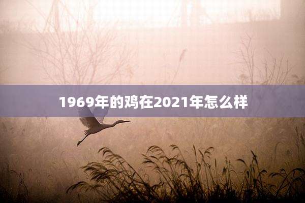 1969年的鸡在2021年怎么样