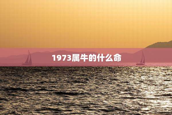 1973属牛的什么命