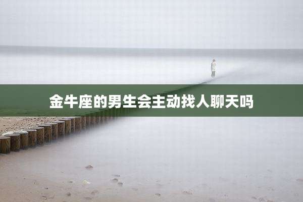 金牛座的男生会主动找人聊天吗