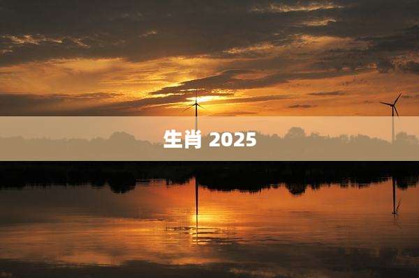 生肖 2025