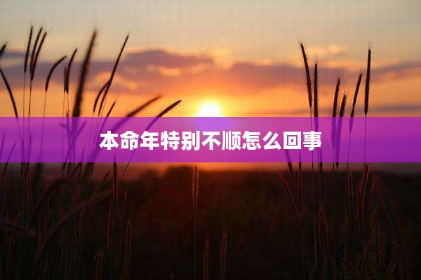本命年特别不顺怎么回事