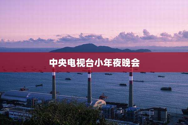 中央电视台小年夜晚会