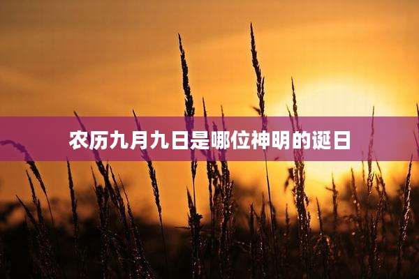 农历九月九日是哪位神明的诞日