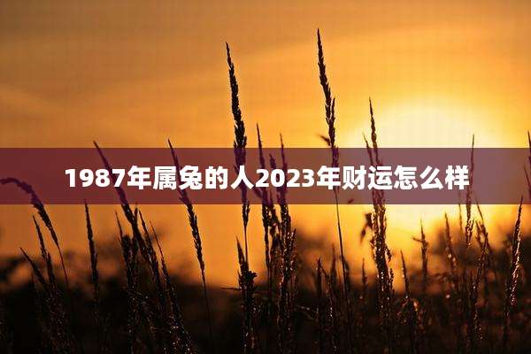 1987年属兔的人2023年财运怎么样