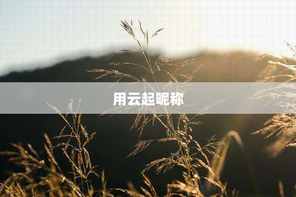 用云起昵称