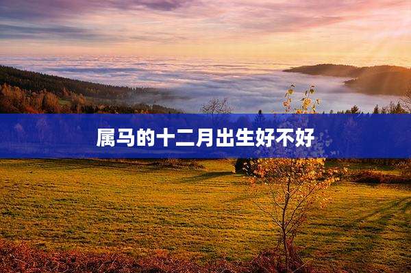 属马的十二月出生好不好