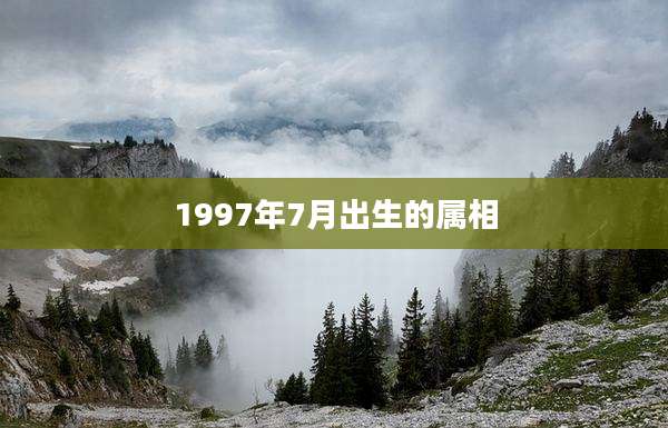 1997年7月出生的属相