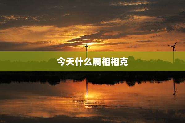 今天什么属相相克
