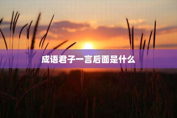 成语君子一言后面是什么