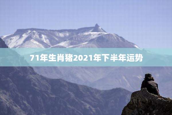 71年生肖猪2021年下半年运势