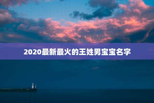 2020最新最火的王姓男宝宝名字