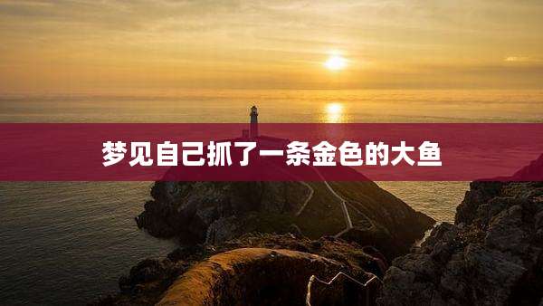 梦见自己抓了一条金色的大鱼
