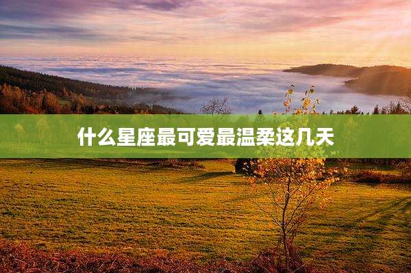 什么星座最可爱最温柔这几天