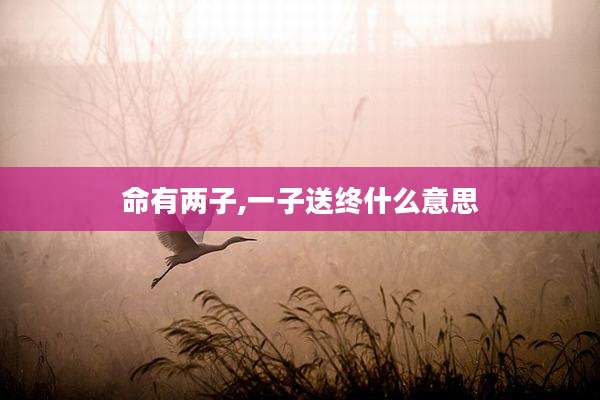 命有两子,一子送终什么意思