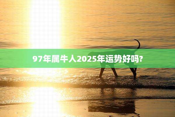 97年属牛人2025年运势好吗?