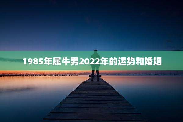 1985年属牛男2022年的运势和婚姻