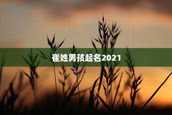 崔姓男孩起名2021