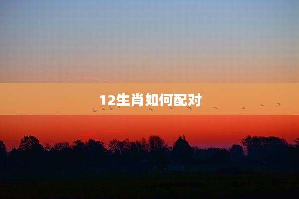 12生肖如何配对